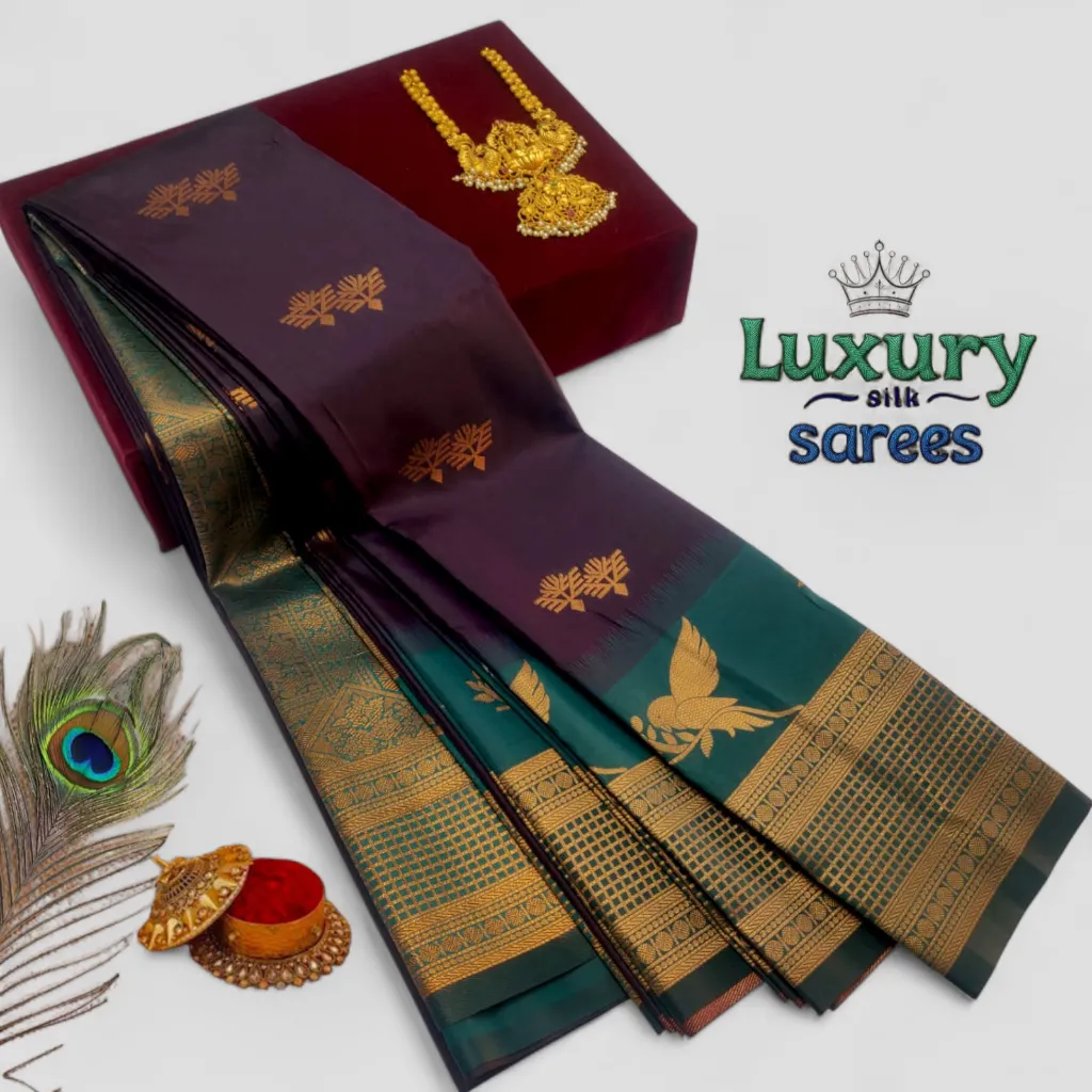 WhatsApp Image 2026-02-24 at 12.14.28 PM (2).webp