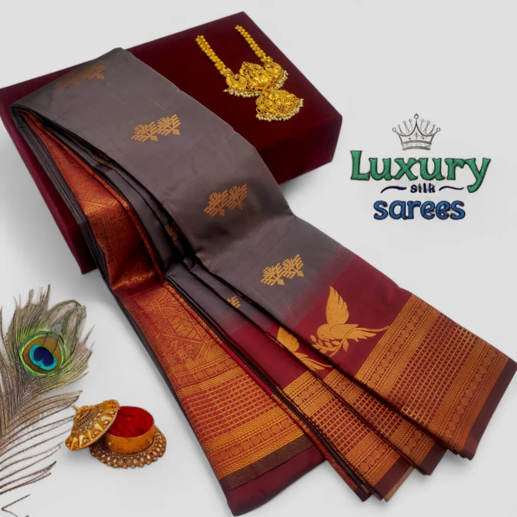 WhatsApp Image 2026-02-24 at 12.14.25 PM.webp