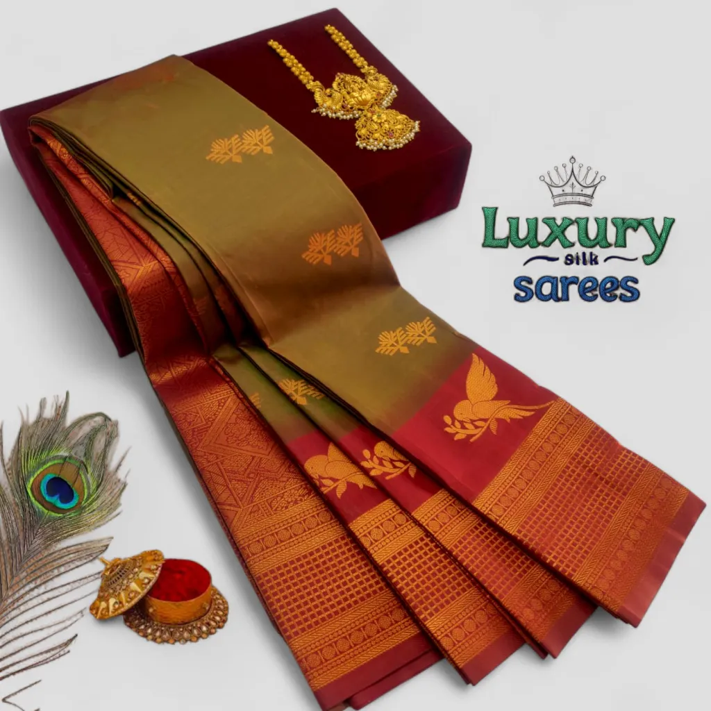 WhatsApp Image 2026-02-24 at 12.14.26 PM.webp