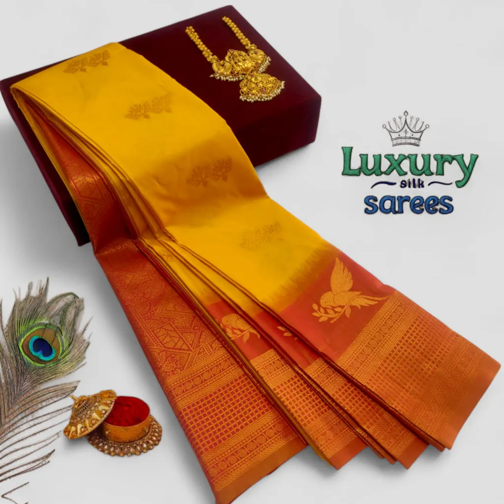 WhatsApp Image 2026-02-24 at 12.14.27 PM.webp